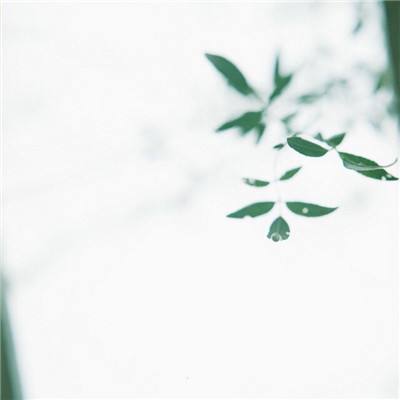 3d太空竞速官方版下载